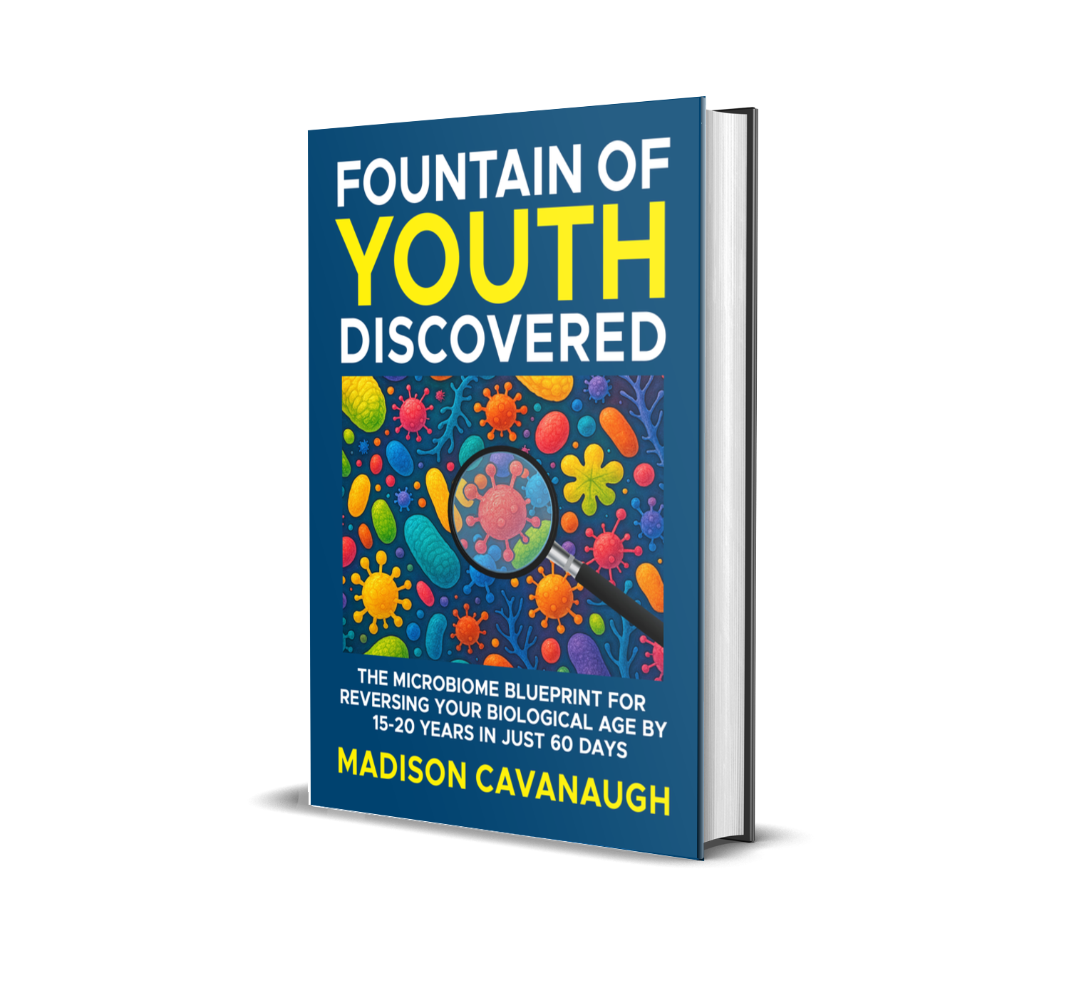 Fountain of Youth Book 3D